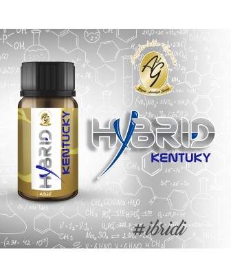 KENTUCKY HYBRID