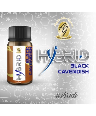 Black  Cavendish - HYBRID