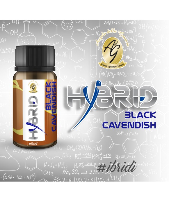 Black  Cavendish - HYBRID