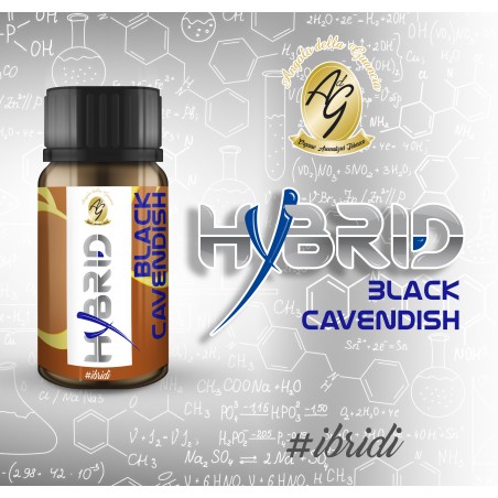 bBLACK CAVENDISH